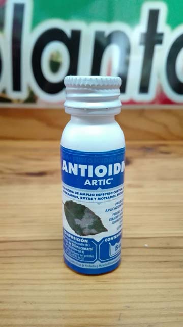 insecticida masso bactur 10gr