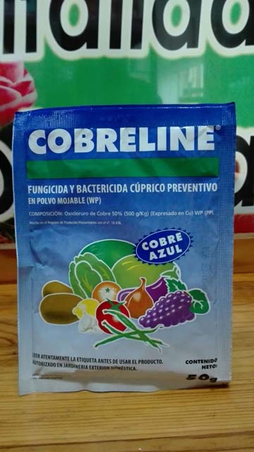 insecticida_aspid_WP_masso