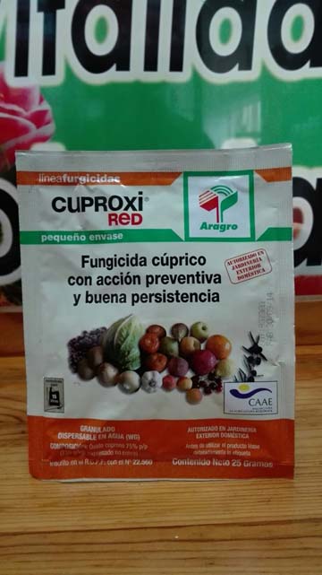 insecticida_jed_Bulldock_Jardin.jpg