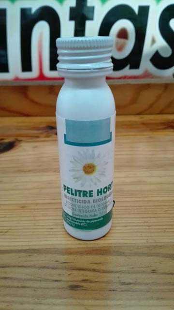 insecticida biologico pelitre hort insecticida piretrinas naturales