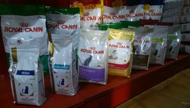 pienso-royal-canin-gatos