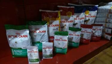 pienso-royal-canin